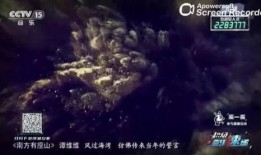 南山在线观看,探索城市生活新视角