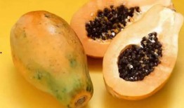 免费吃瓜完整1723,1723个精彩瞬间等你来探索